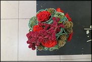 www.floristic.ru - . WEB      " WEB format"