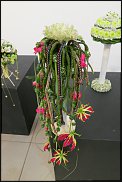 www.floristic.ru - . WEB      " WEB format"