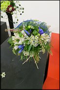 www.floristic.ru - . WEB      " WEB format"