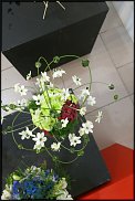 www.floristic.ru - . WEB      " WEB format"