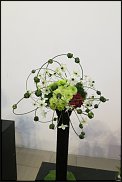 www.floristic.ru - . WEB      " WEB format"