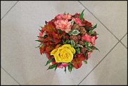 www.floristic.ru - . WEB      " WEB format"