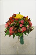 www.floristic.ru - . WEB      " WEB format"