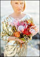 www.floristic.ru - .  .