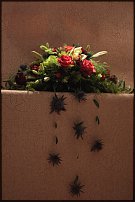 www.floristic.ru - .  