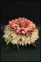 www.floristic.ru - . 