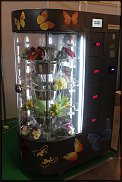 www.floristic.ru - Флористика. Продаем цветочные автоматы