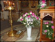 www.floristic.ru - .  