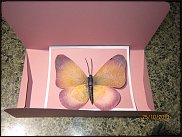 www.floristic.ru - .  .