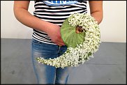 www.floristic.ru - . WEB      " WEB format"