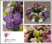 www.floristic.ru - .  ,   ..  .