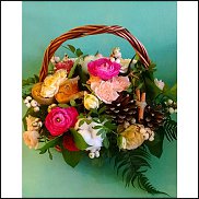 www.floristic.ru - .  ,   ..  .