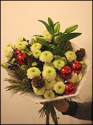 www.floristic.ru - . .  10  12  2013.    -  