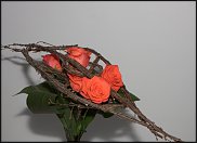 www.floristic.ru - . .  10  12  2013.    -  