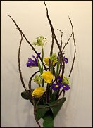 www.floristic.ru - . .  10  12  2013.    -  