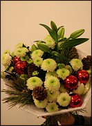 www.floristic.ru - . .  10  12  2013.    -  