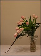 www.floristic.ru - . .  10  12  2013.    -  