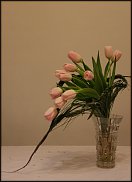 www.floristic.ru - . .  10  12  2013.    -  