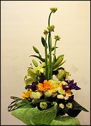 www.floristic.ru - . .  10  12  2013.    -  