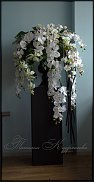 www.floristic.ru - .  