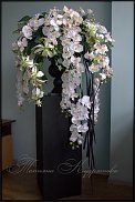 www.floristic.ru - .  