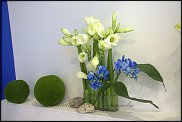 www.floristic.ru - .   .