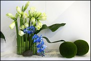 www.floristic.ru - .   .