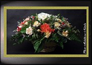 www.floristic.ru - .  