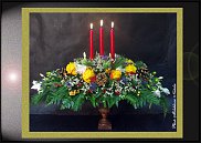 www.floristic.ru - .  