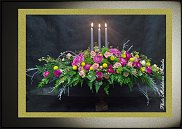 www.floristic.ru - .  