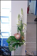 www.floristic.ru - .   .