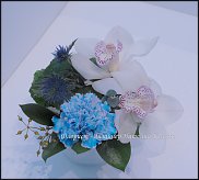 www.floristic.ru - .   .