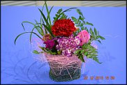 www.floristic.ru - .  .