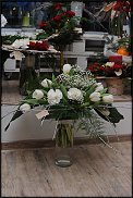 www.floristic.ru - . -  