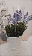 www.floristic.ru - . -  