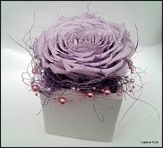 www.floristic.ru - .  ,   ..  .