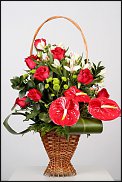 www.floristic.ru - .  