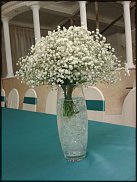 www.floristic.ru - .  .