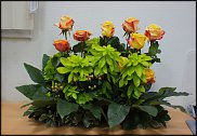www.floristic.ru - .   "   "