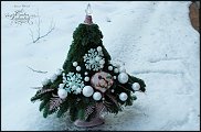 www.floristic.ru - .  