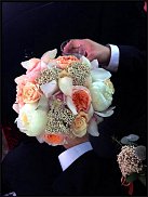 www.floristic.ru - .  .