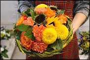 www.floristic.ru - .       ...