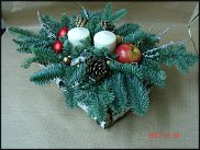 www.floristic.ru - .  ,   ..  .
