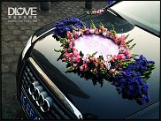 www.floristic.ru - .  