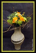 www.floristic.ru - .  