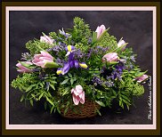 www.floristic.ru - .  