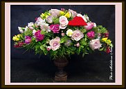 www.floristic.ru - .  