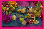 www.floristic.ru - .  