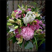 www.floristic.ru - .       ...