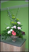 www.floristic.ru - .  